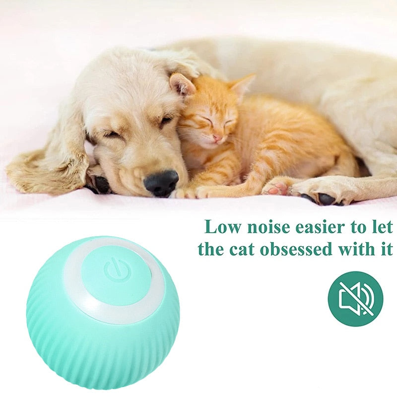 Electric Smart Pet Ball