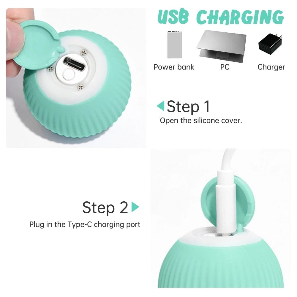 Electric Smart Pet Ball